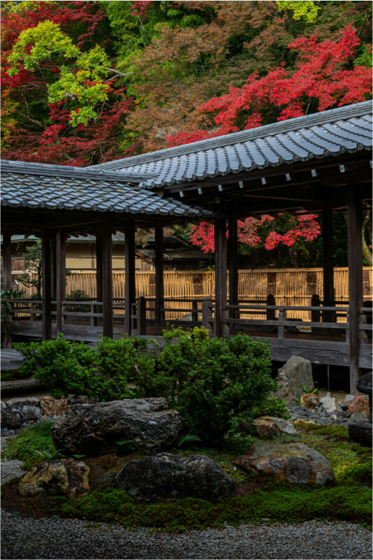 Arashiyama Bamboo Grove path in Western Kyoto without crowds